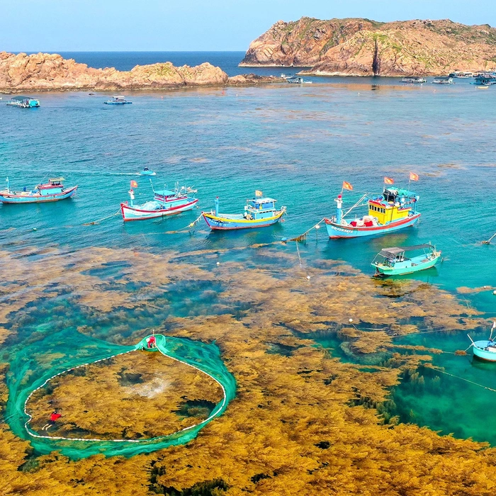 Khu Nhơn Lý / làng chài Nhơn Hải