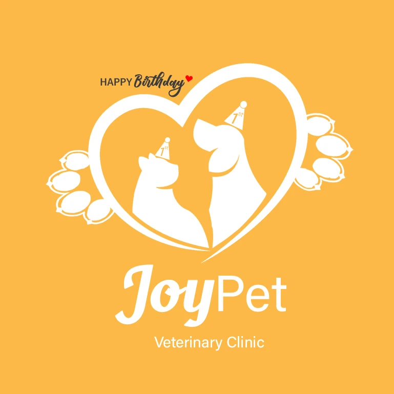Joy Pet_ Phòng Khám Thú Y Quy Nhơn
